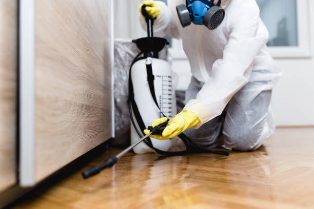 Best Rat Extermination Near Me  in Brooklyn, OH