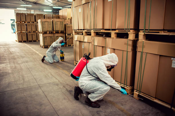 Best Flea Control Services  in Brooklyn, OH