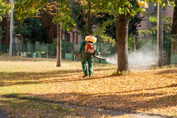 Best Affordable Pest Control Services  in Brooklyn, OH