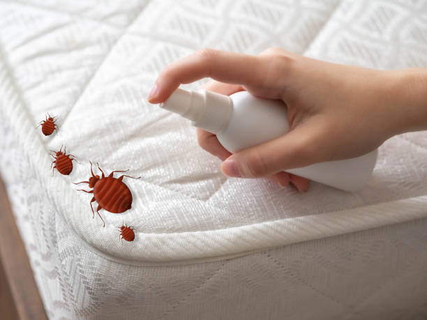 Professional Pest Control in Brooklyn, OH