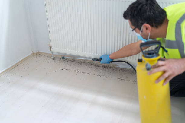 Best Best Pest Control Companies  in Brooklyn, OH