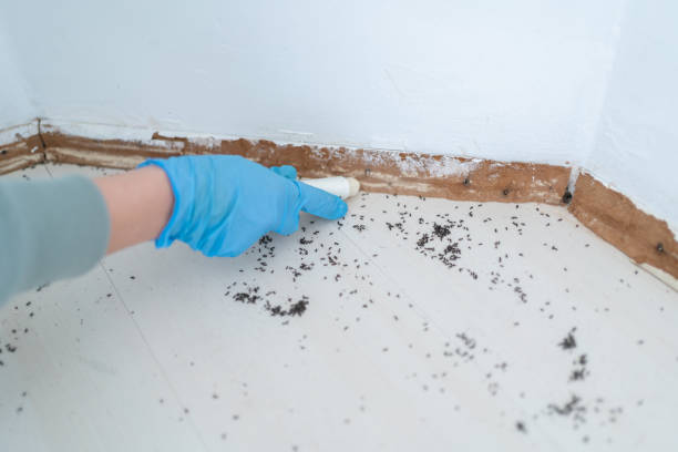 Pest Control Cost in Brooklyn, OH